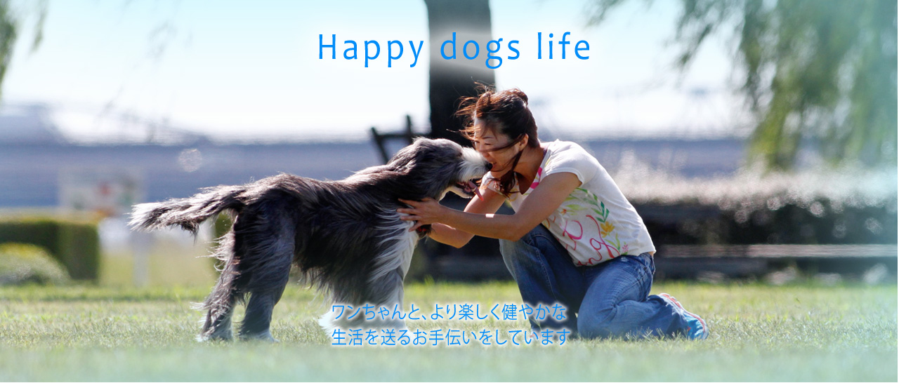 ハッピードッグライフ 4-dogs ワンちゃんと、より楽しく健やかな生活をお手伝いしています。