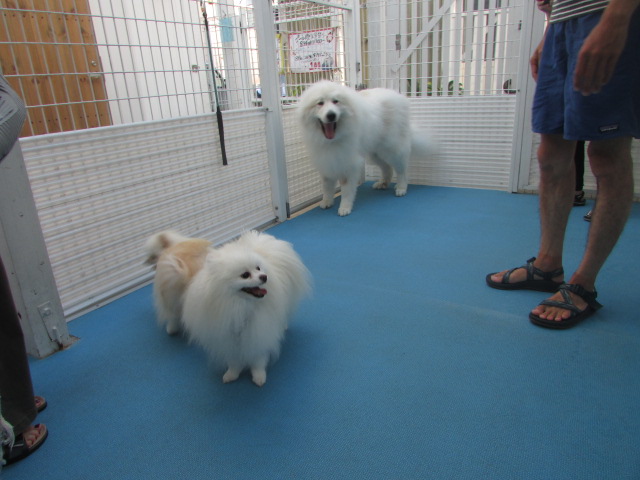 感動の再会☆