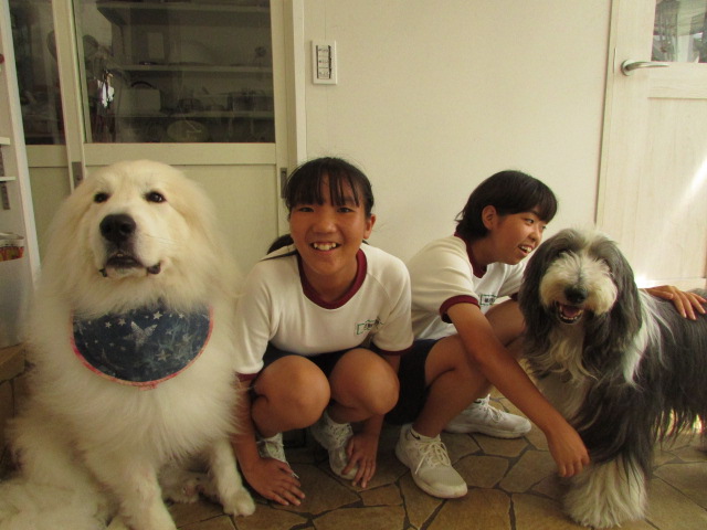 中学生職場体験☆１日目☆