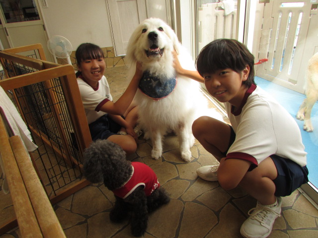 中学生職場体験☆２日目