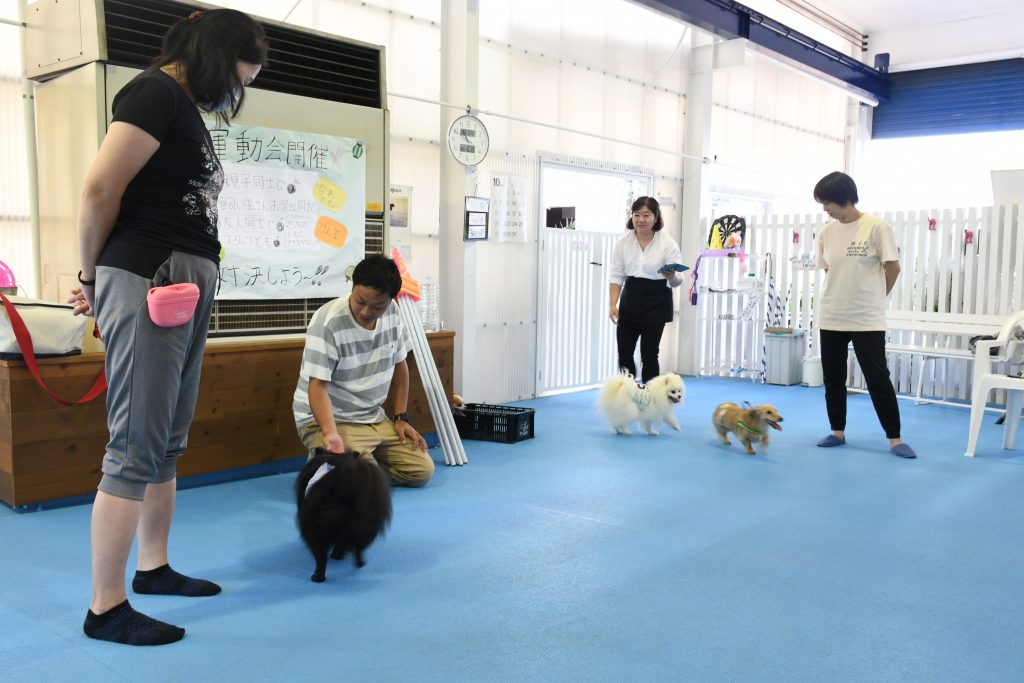 11月のしつけ教室のお知らせ☆