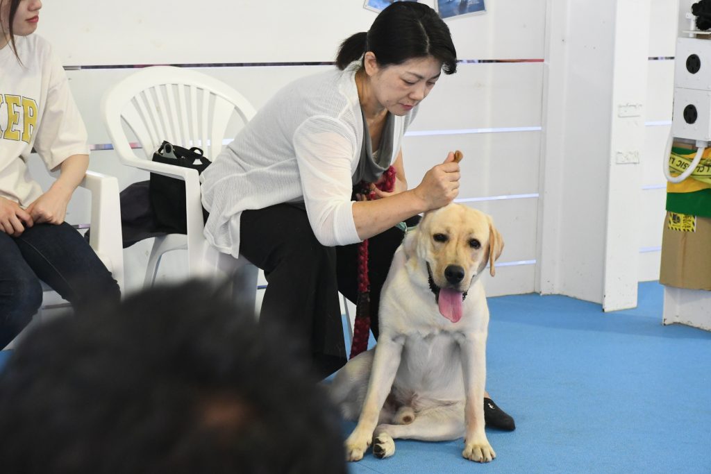 10月しつけ教室☆Ｄグループのご報告