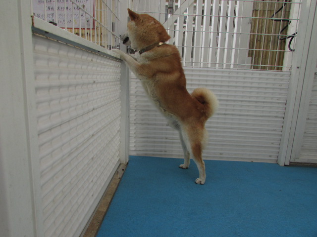 今日も元気なおふたりさん☆