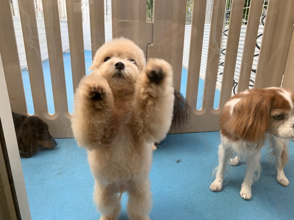 トルちゃん☆初お泊まりもEnjoy♡