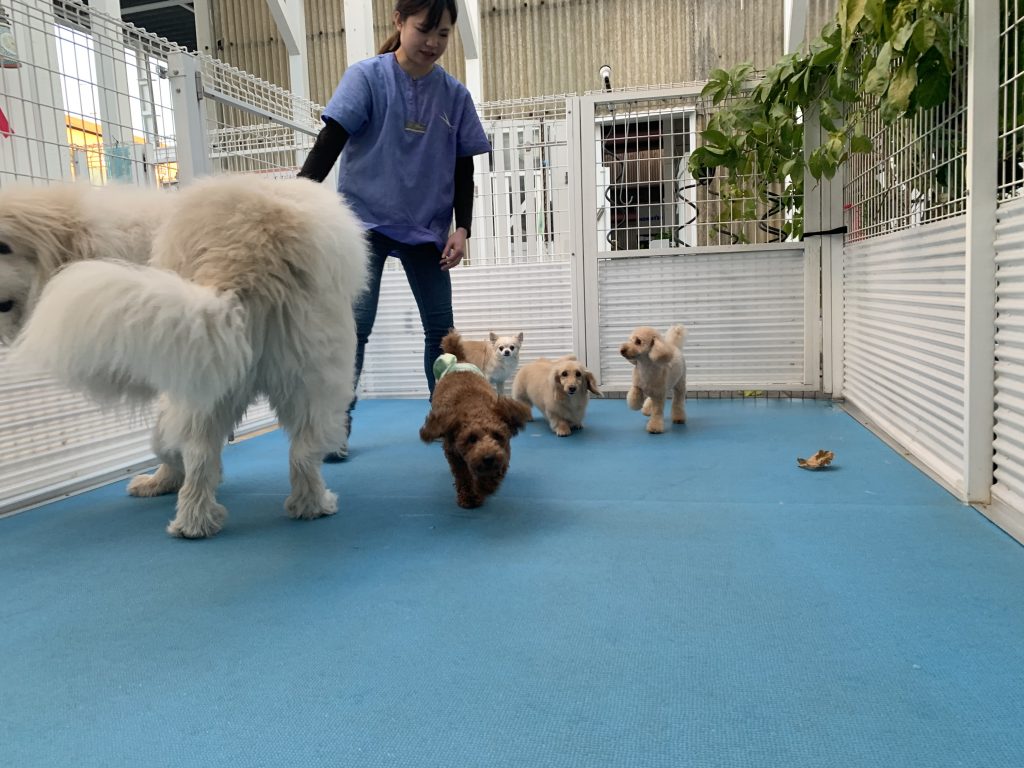 ホテル☆朝のフリータイム♬︎