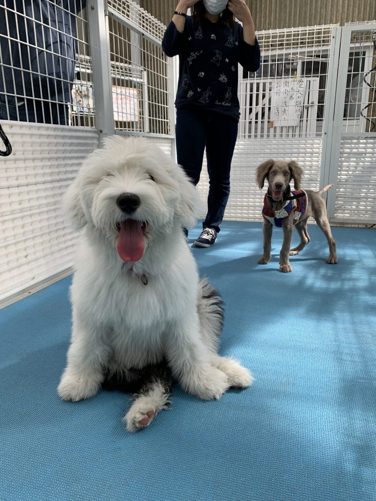 お誕生日、ご紹介割引き　変更のお知らせ★