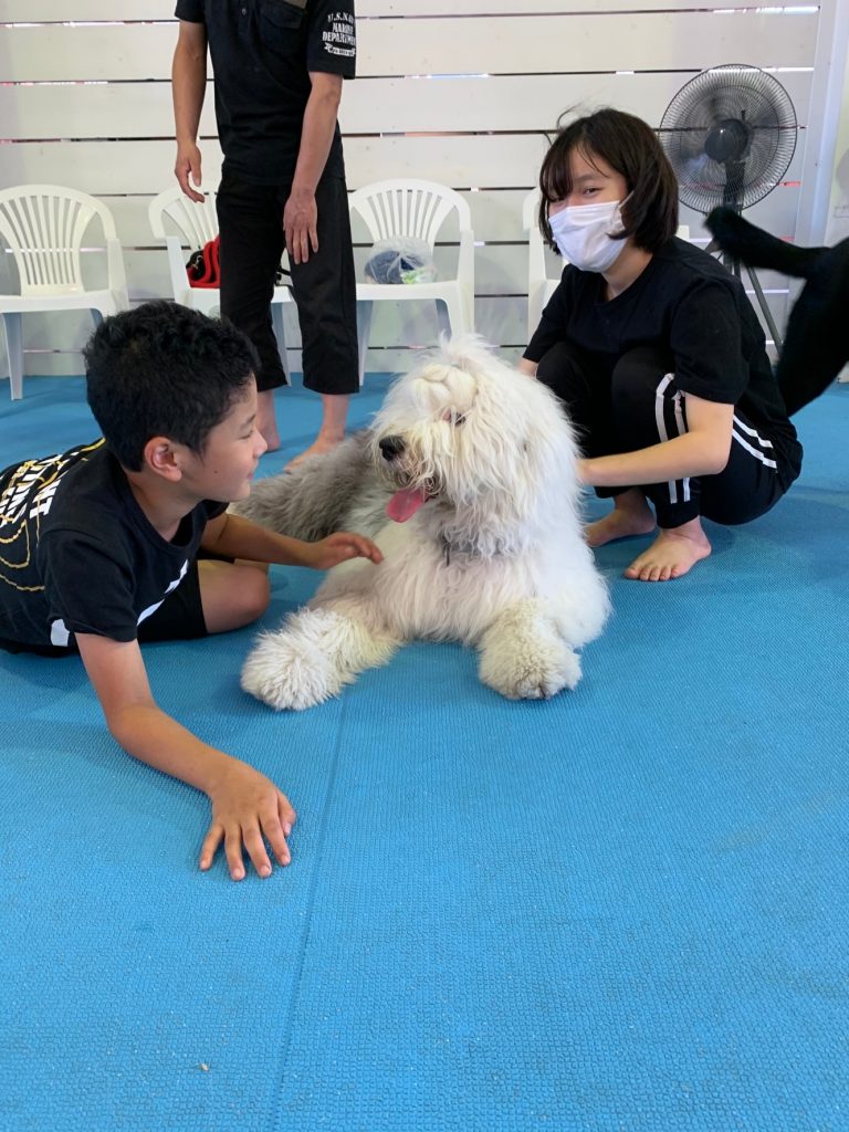 ♡１１月８日（日）　イベント情報♡