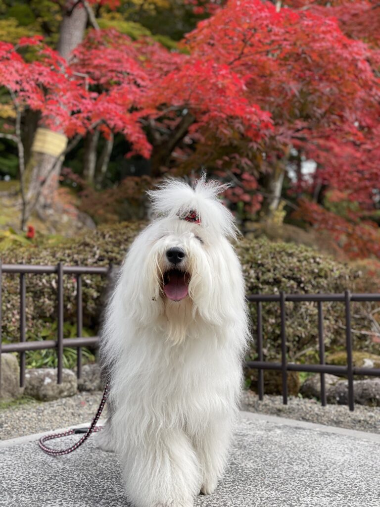 ☆年末のご挨拶☆