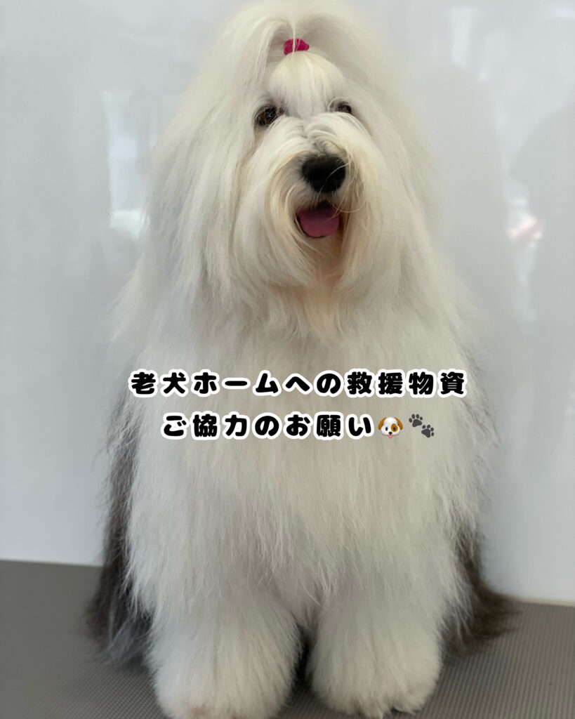 ☆老犬ホームへの救援物資ご協力のお願い☆