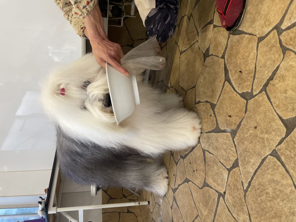 ★犬のフード選びについて★