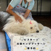     出張ドッグマッサージのご紹介☆ ドッグマッサージセラピスト『ビスターリ』さん        …
