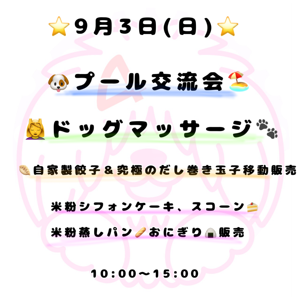 ⭐️9月3日(日)交流会イベント⭐️追記あり