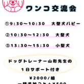     イベントのお知らせです⭐️   『ワンコ交流会』 11月19日(日) 開催です(*^ω^*) 今回は大型犬、小型犬とグルー…