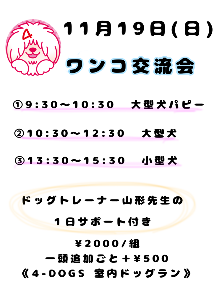 11月19日(日) ワンコ交流会