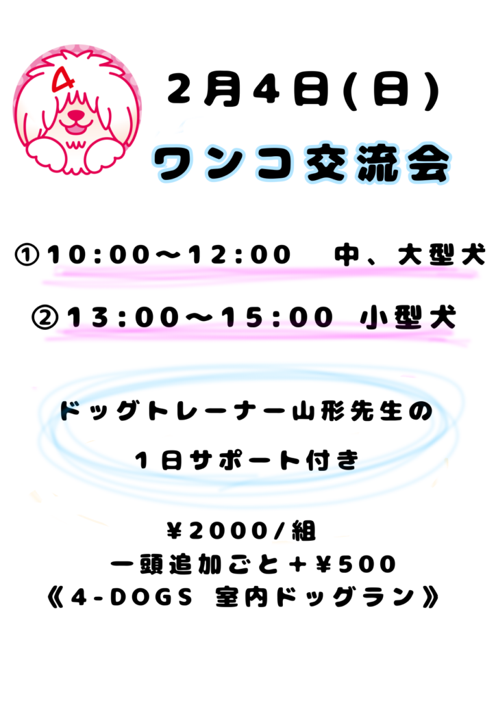 2月4日(日)⭐️ワンコ交流会&ドッグマッサージ