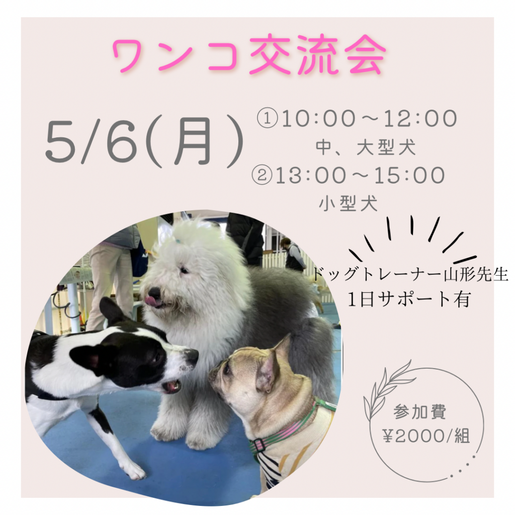 ⭐️5月6日(月)イベント開催⭐️