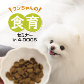   スペシャルセミナーのご案内⭐️     3月22日(土) 4-DOGS店内にて『食育セミナー』を開催します！ ペットフードメー…