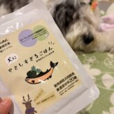 病気に負けるな! オールドイングリッシュシープドッグ 腎臓がんと戦う三四郎ちゃん⭐️     ごはんを全く食べることができなくなってしまった…